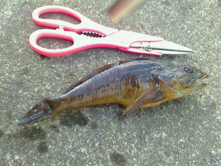 あれこれ仕掛は車に積み込んでおくべきかな